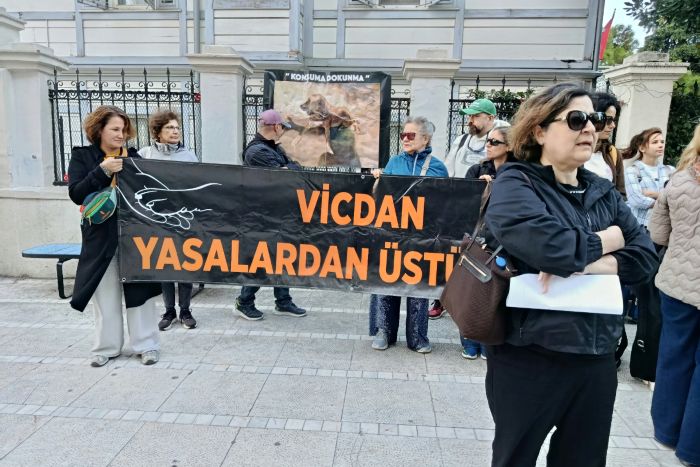 Kadıköy’de hayvan hakları savunucularından tepki: “Kutlama değil, isyan günü”